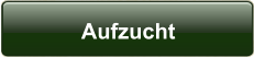 Aufzucht