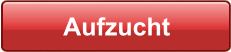 Aufzucht