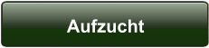 Aufzucht