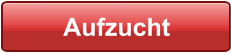 Aufzucht